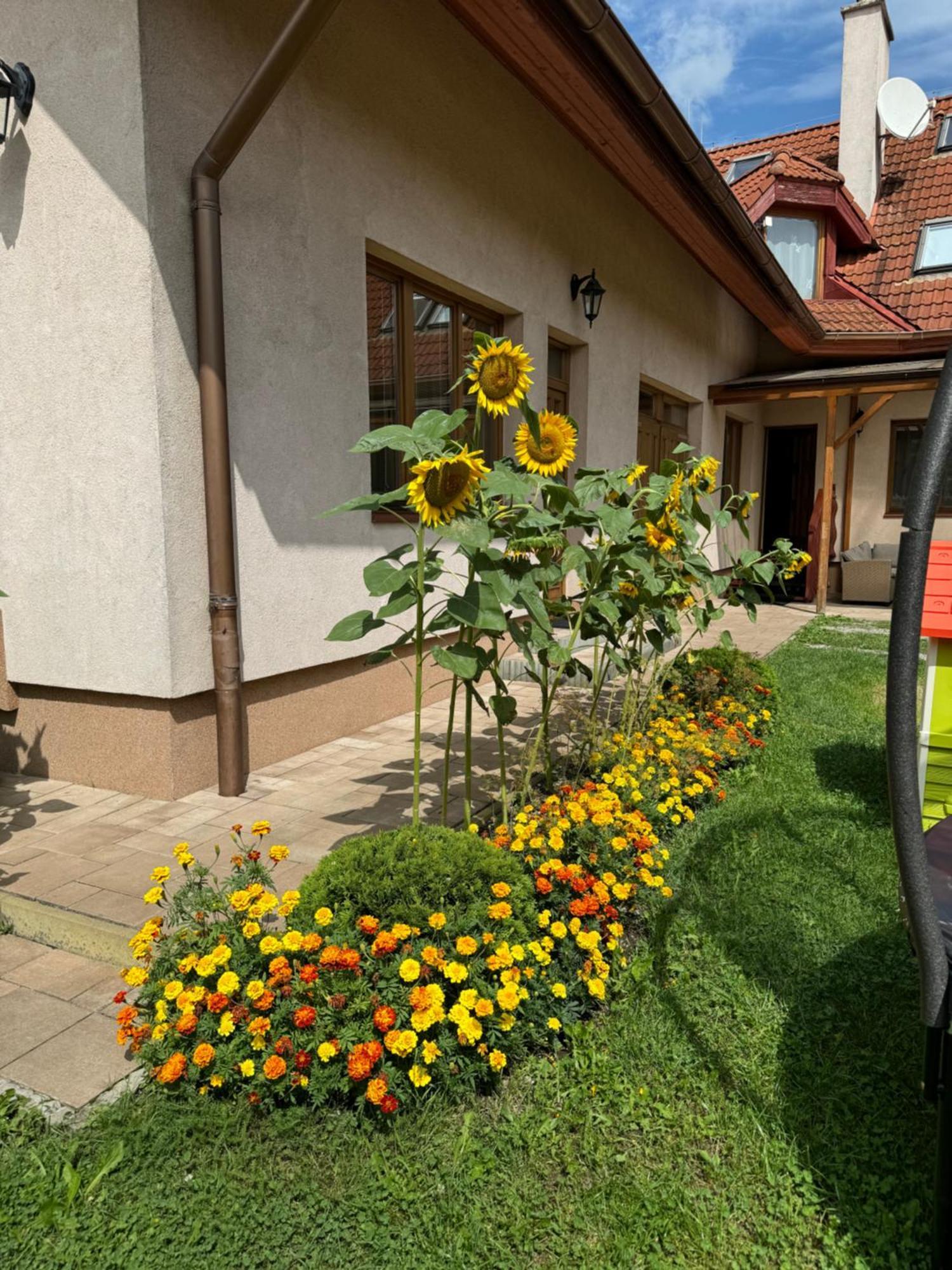 Lutra Montana Daire Relov Dış mekan fotoğraf